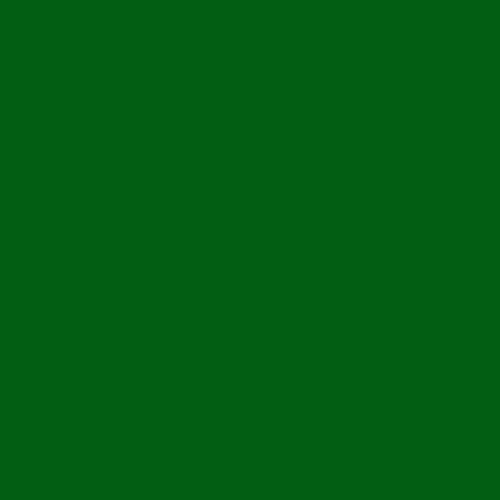 Times Square 124 Dark Green Gel Filter Sheet 10" x 10"