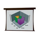 Premier 101692 Electric Projection Screen