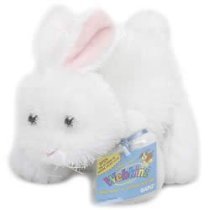 Childrens Toyshop  Toys : Webkinz - Rabbit