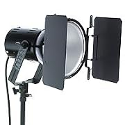 Leaf Barndoors with Filter Holder for 12" Reflectors