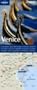 Lonely Planet Venice City Map