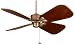 Fanimation The Islander® Antique Brass Dry Location Motor Fan w/ 22