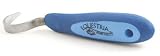 Equestria Sport Hoof Pick, 6 1/2 Blue