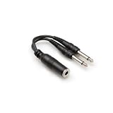 Y Cable 1/4" Tsf To Dual 1/4" Ts With White Earbud Headphones