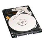 Western Digital 250GB 2.5 PATA Bulk/OEM Hard Drive WD2500BEVE