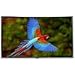 Electronics : 92IN Diag Fixed High Contrast 16:9 45 X 80 Grey Material Silver