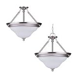 69462BLE-962 - SeaGull Lighting Sussex Fluorescent Pendant