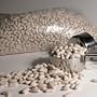 Beans Cannellini