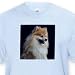   - Pomeranian portrait - Toddler Light-Blue-T-Shirt (2T)