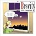 Brevity 2009 Wall Calendar