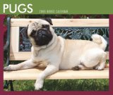 Pugs 2008 Boxed