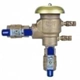 Febco 765-1" BV-Pressure Vacuum Assembly