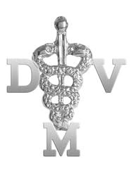 NursingPin - Doctor of Veterinary Medicine DVM Graduation Pin in Silver