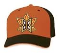 Bakersfield Blaze Adjustable Road Cap by New Era