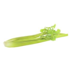 Green Artificial Celery