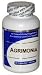 Agrimonia (100 Capsules) - Concentrated Herbal Extract - Dietary Supplement