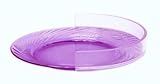 Large Clear Plate Guard - Keeps Food from Falling off Edge of Plate