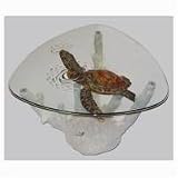 Sea Turtle Table With Glass Table Top H-21 x D-29
