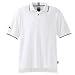 Adidas Climalite Drop Needle Polo A02