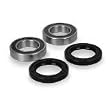 Rear Axle Bearings & Seals Yamaha Blaster 88-02 Yfs200 Y-ATV-RR-1002-2F3