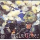 Bush Fire by  Evan Parker 