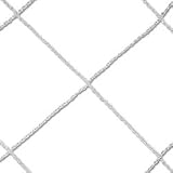 Sporting Goods : Club Goal Net (PR)