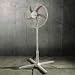 Holmes HASF2120 20-Inch 3 Speed Oscillation Stand Fan