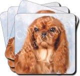 RUBY KING CHARLES Set of 4 Coasters