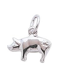 Rembrandt Charms Pig Charm