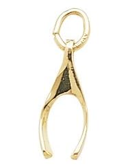 Rembrandt Charms Wishbone Charm