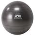 SPRI Professional Xercise Workout Swiss Ball Slate (55cm)