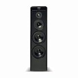 Meridian DSP-5500BK Speakers