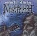 Hair Of The Dog-Tribute to Nazareth: Another Hair of the Dog