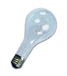 Industrial Performance 30207 - 500 Watt PS35 Clear Incandescent Light Bulb, Mogul Base