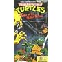 Teenage Mutant Ninja Turtles - Case of the Killer Pizzas [VHS]