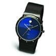Skagen Blue Face Watch