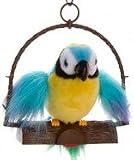 Kitchen & Housewares : Polly The Insulting Parrot