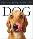 Dog 2010 Gallery Desk Calendar