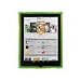 Hard Candy Cases Sleek Skin Case for Apple iPad, Green, (SK-IPAD-GRN)