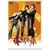 �������̗� VOL.9 [DVD]