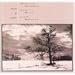Voices of Winter