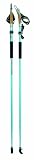 GYMSTICK ノルディックウォーキング フォース 100cm 25002の画像