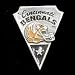 Cincinnati Bengals Pin - NFL Football Fan Shop Sports Team Merchandise