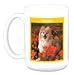   - Pomeranian Mug2008