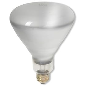 Incandescent Flood Light Bulb, BR40, 75 Watt, 120 Volts