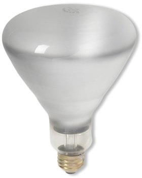 SLI Lighting 100BR40/FL - 03209