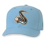 Minor League Baseball Cap - Swing of the Quad City Home Cap by New Era