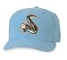 Minor League Baseball Cap - Swing of the Quad City Home Cap by New Era