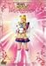 2003 ウィンタースペシャルミュージカル 美少女戦士セーラームーン 無限学園~ミストレス・ラビリンス~[改訂版]