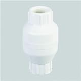 Buy 3 4 WHT PVC CHK Valve by Mueller